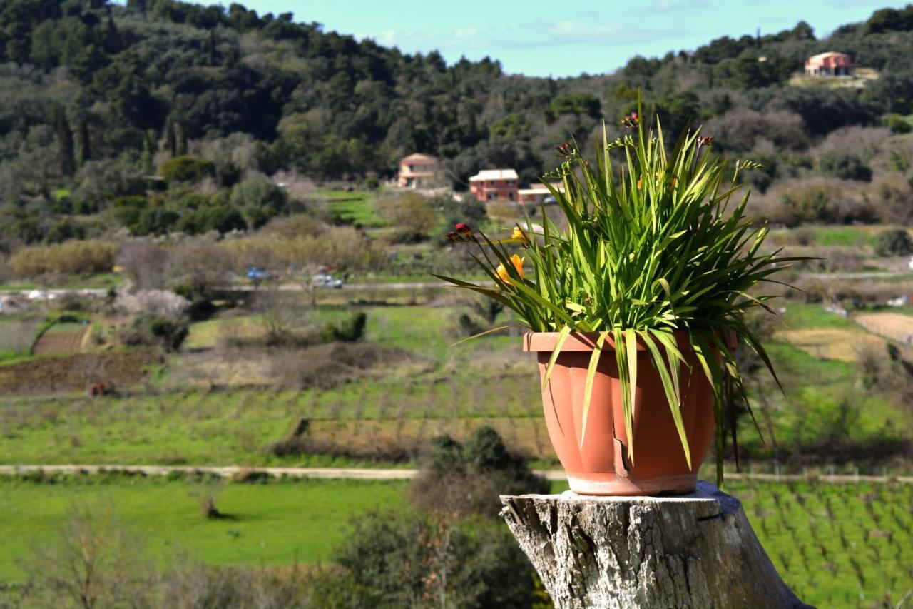 Sinarádes Villa Skafonas מראה חיצוני תמונה