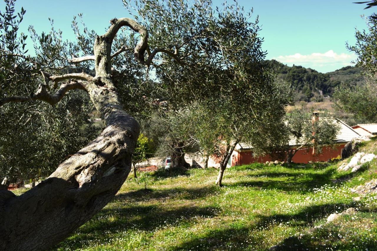 Sinarádes Villa Skafonas מראה חיצוני תמונה